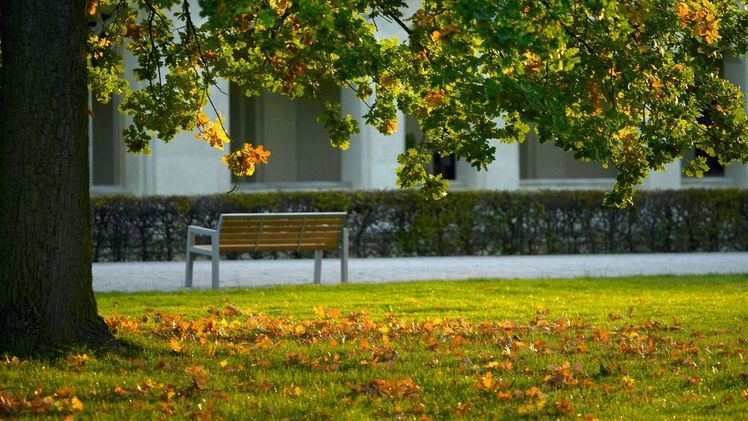 Schlosspark Grafenegg. Bild: „Natur im Garten“/Alexander Haiden.