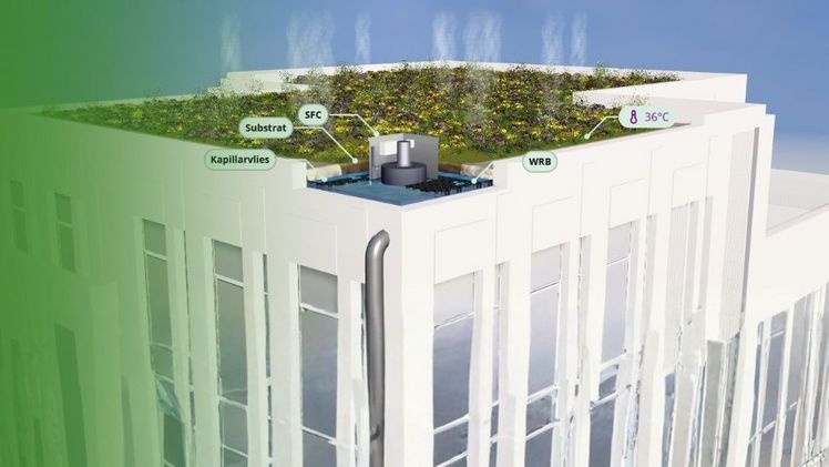 Mit der frei zugänglichen Webanwendung unterstreicht Optigrün seinen Anspruch, innovative Lösungen für nachhaltige und klimaresiliente Städte nicht nur zu entwickeln, sondern deren Wirkungsweise auch verständlich und praxisnah zu kommunizieren. Bild: © Optigrün.
