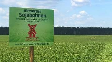 Mit diesem Versuch geht die Rügenwalder Mühle einen mutigen Schritt, denn die Anbauregion der Sojabohnen hat entscheidenden Einfluss auf Geschmack und Farbe des Rohstoffs. Bild: Rügenwalder Mühle.