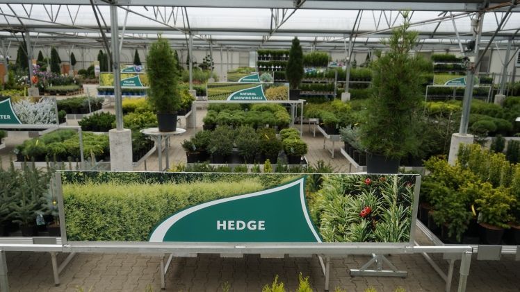 Auf den Hausmessen zeigt BCM Baumschule Christoph Marken das Gesamtportfolio. Bild: BCM Baumschule Christoph Marken.  Auf den Hausmessen zeigt BCM Baumschule Christoph Marken das Gesamtportfolio. Bild: BCM Baumschule Christoph Marken.