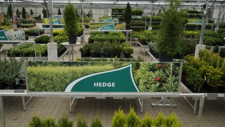 Auf den Hausmessen zeigt BCM Baumschule Christoph Marken das Gesamtportfolio. Bild: BCM Baumschule Christoph Marken. 