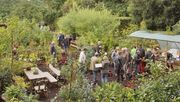 Sinnesgarten und Workshop-Saal zur GrootGroenPlus 2019. Bild: GrootGroenPlus.