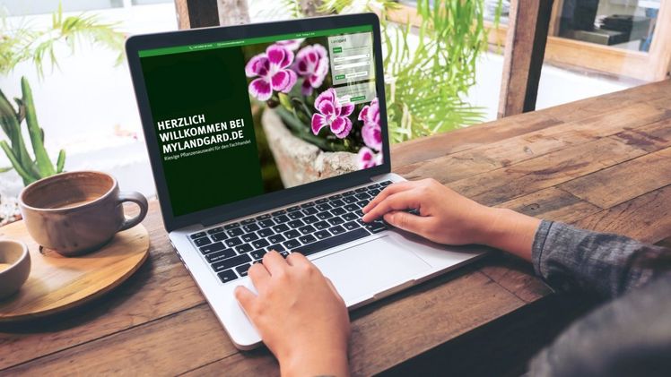 Die Landgard Herbst-Ordertage werden wieder als digitale Veranstaltung durchgeführt. Bild: Landgard.