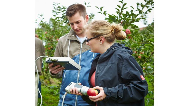 Qualitätscheck auf der Apfelbaumplantage: Gärtner:innen überprüfen mit Hilfe eines speziellen Messgeräts die Reife der Früchte. Bild: GMH.