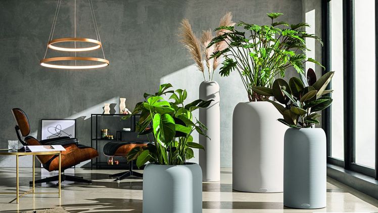 HAVALO, die neue Luxury-Linie von LECHUZA, wurde für die wohldefinierte und harmonische Formensprache mit dem begehrten Red Dot 2020 im Red Dot Award: Product Design ausgezeichnet. Bild: LECHUZA.