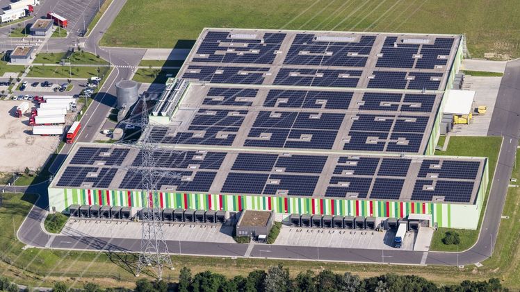 „Erntefrisch aus der Pfalz" steht als Markenzeichen für Top-Qualität, Frische und eine exzellente Versorgungssicherheit, die – aufgrund der Nähe und hochmodernen Frischelogistik – auch immer nachhaltiger bei Kunden und Partnern im Lebensmitteleinzelhandel (LEH) ankommt! 2023 hat Pfalzmarkt eG rund 10 Mio. Euro investiert. Etwa 50 Prozent sind in die zweite Ausbaustufe eines der europaweit größten und modernsten Vermarktungszentren für frisches Obst und Gemüse geflossen.  Mit 15.000 qm wurde hier eine der größten Dachflächen-PV-Anlagen in der erweiterten Region installiert. Bild: Pfalzmarkt eG.