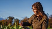 Der Gartenbau sucht dringend qualifizierte Fachkräfte für nachhaltige Produktionssysteme von morgen. Bild: © Luca Mann, Universität Hohenheim.