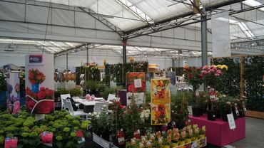Impressionen von der Garden Trials and Trade 2019 in Hazerswoude-Dorp. Bild: GABOT. 