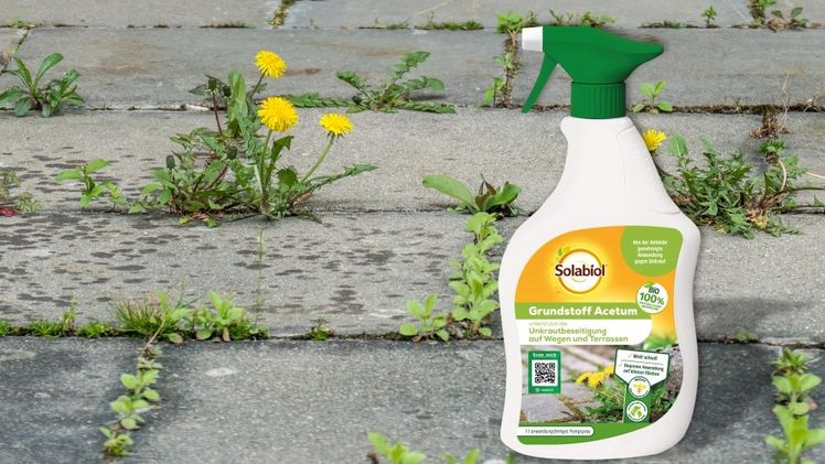 Solabiol Grundstoff Acetum Spray 1 l. Bild: SBM Life Science GmbH.