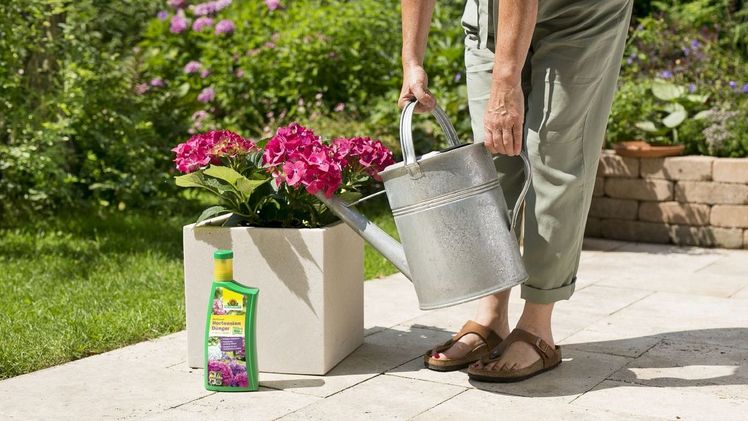 organische Flüssigdünger BioTrissol HortensienDünger. Bild: Neudorff.