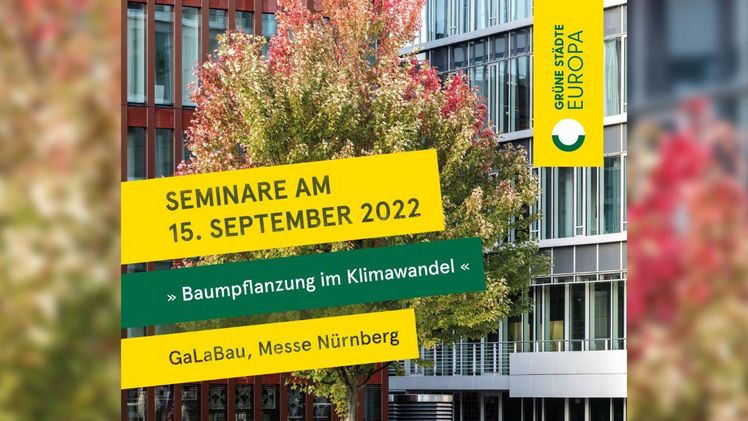 Der Bund deutscher Baumschulen (BdB) e.V. lädt zum Seminar „Baumpflanzung im Klimawandel“ auf die GaLaBau-Messe in Nürnberg ein. Bild: BdB/ENA.