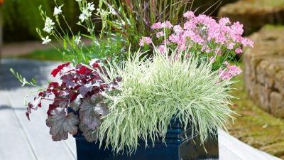 Herbststimmung auf Balkon und Terrasse. (Bildnachweis: GMH/FGJ)