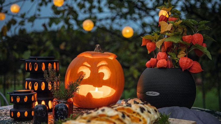 Für eine einfache aber eindrucksvolle Halloween-Dekoration eignen sich Pflanzen und Gefäße in der klassischen Farbkombination Schwarz-Orange optimal. Bild: LECHUZA PURO 20 schwarz.