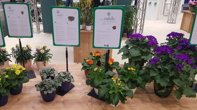 Das IPM Neuheitenschaufenster - jetzt bewerben. Bild: GABOT.