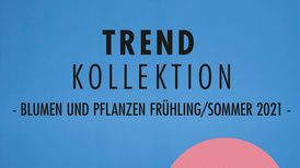 Im März wurde die Trendkollektion Frühling/Sommer 2021 veröffentlicht, die noch bis September weiterläuft. Bild: Tollwasblumenmachen.de.