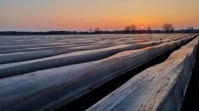 Nasse Böden und teils überflutete Flächen trockneten im März doch schneller ab als erwartet, sodass in den letzten beiden Wochen das Aufdämmen doch gut voranging. Bild: Thomas Hanf, Landwirtschaftskammer SH.