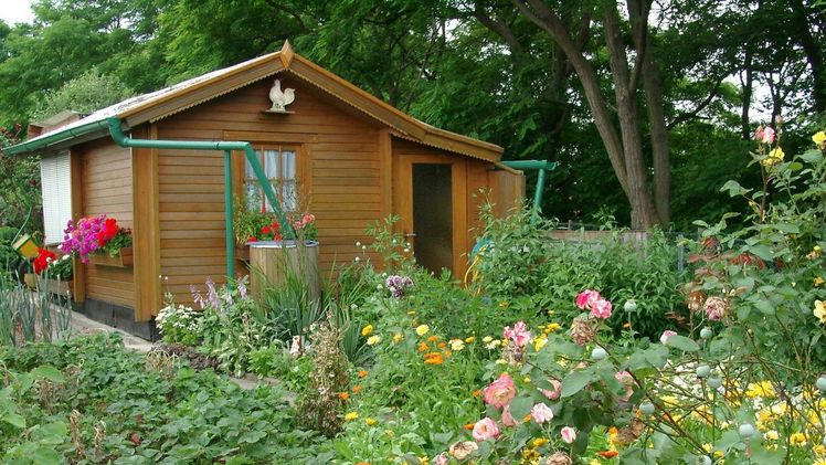 Biodiverser Kleingarten. Bild: BKD.