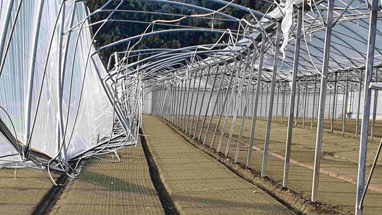 Sturmschaden an einem Folienhaus. Bild: Österreichische Hagelversicherung.