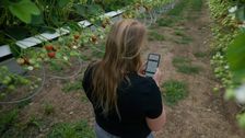 Neuheiten bei Crop-Scanner™. Bild: Biobest. 