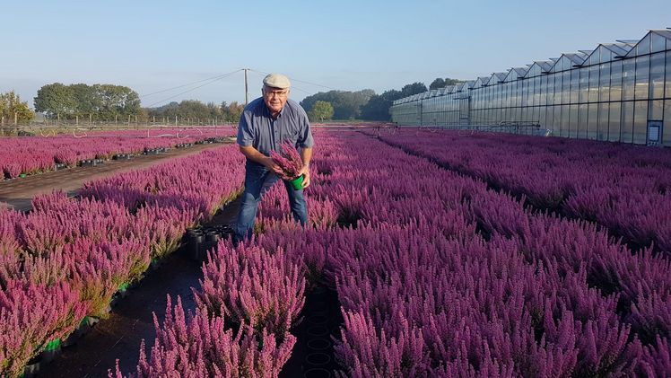 Heinz Manten. Bild: privat.