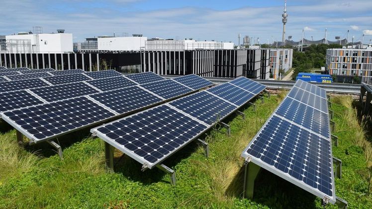 Solargründächer sind eine bewährte Methode, um die Vorteile von Dachbegrünungen und der Solarnutzung sinnvoll miteinander zu kombinieren. 