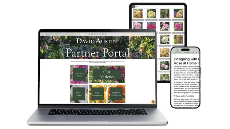 EU-Partnerportal für On-Demand-Marken- und Marketingressourcen. Bild: David Austin® Roses.