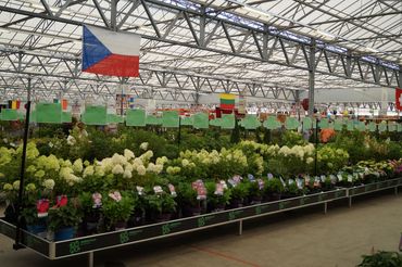 Impressionen von der Plantarium|Groen-Direkt 2022. Bild: GABOT.