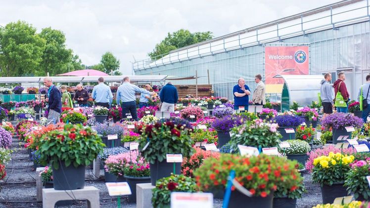 Die FlowerTrials® werden entweder vollständig abgesagt oder durchgeführt , möglicherweise in reduziertem Umfang. Bild: FlowerTrials®.