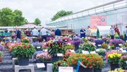 Die FlowerTrials® werden entweder vollständig abgesagt oder durchgeführt , möglicherweise in reduziertem Umfang. Bild: FlowerTrials®.
