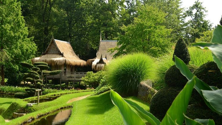 Sommerliche Gartenerlebnisse bestaunen. Bild: Schlossgärten Arcen.