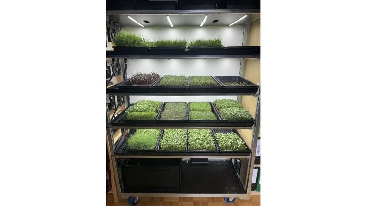 Modulare vertikale Indoor-Landwirtschaft. Bild: OnlyGreens.