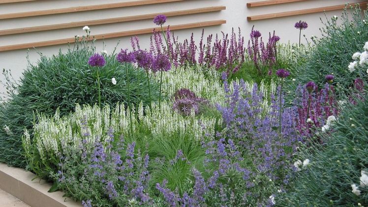 Ein Vor(zeige)garten. Bild: "Natur im Garten" / M. Benes-Oeller.