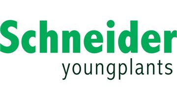 Schneider B.V. – Gespräche über einen Neustart sind in vollem Gange.