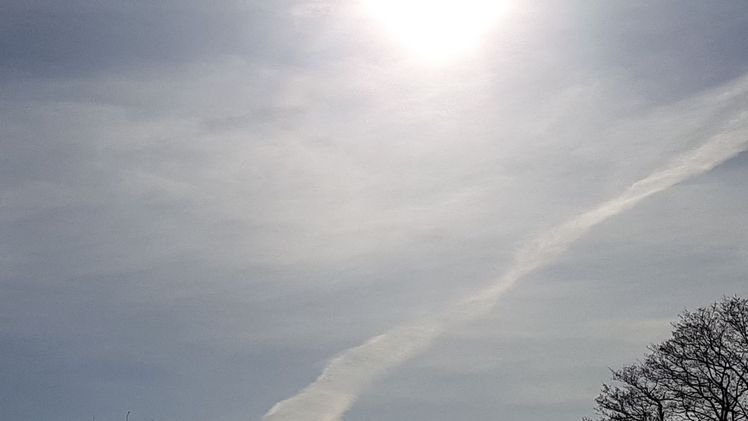 Mit gut 90 Stunden übertraf die Februarsonne ihr Soll von 72 Stunden (Periode 1961 bis 1990) um 25%. Bild: GABOT.