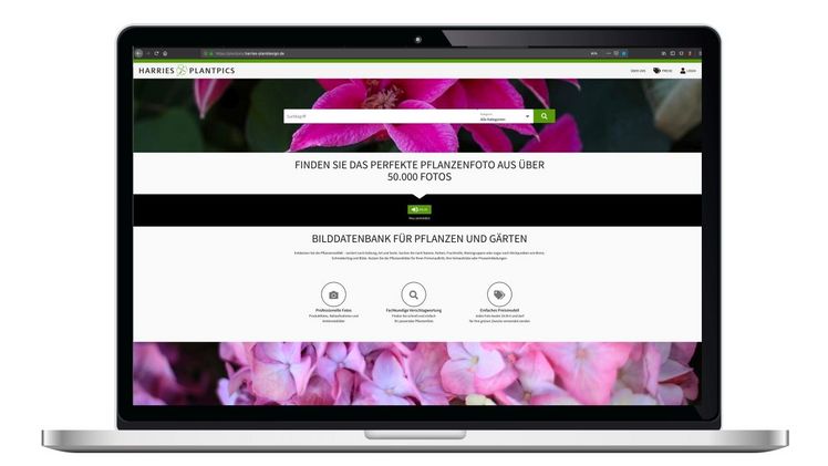Aus 50.000 Fotos das perfekte Pflanzenfoto ganz leicht finden... Bild: Harries Plantpics.