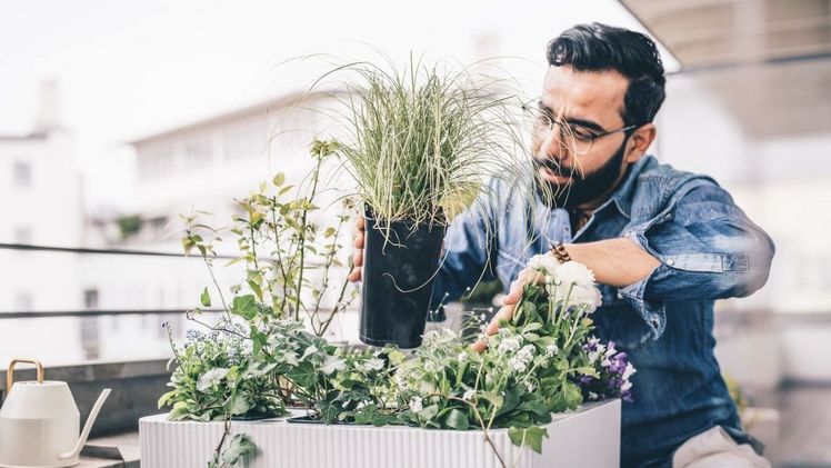 Greenling präsentiert sich im innovativen Retail-Umfeld von The Latest. Bild: Stilflüster.