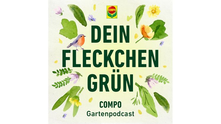 COMPO startet einen Gartenpodcast. Bild: COMPO.