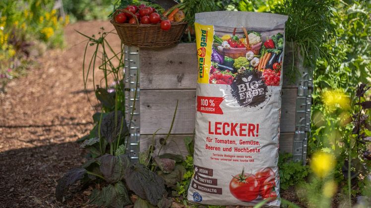 Die Bio-Erde LECKER! von Floragard eignet sich speziell für für den Anbau von Tomaten, Zucchini, Auberginen und anderem Fruchtgemüse. Bild: Floragard.