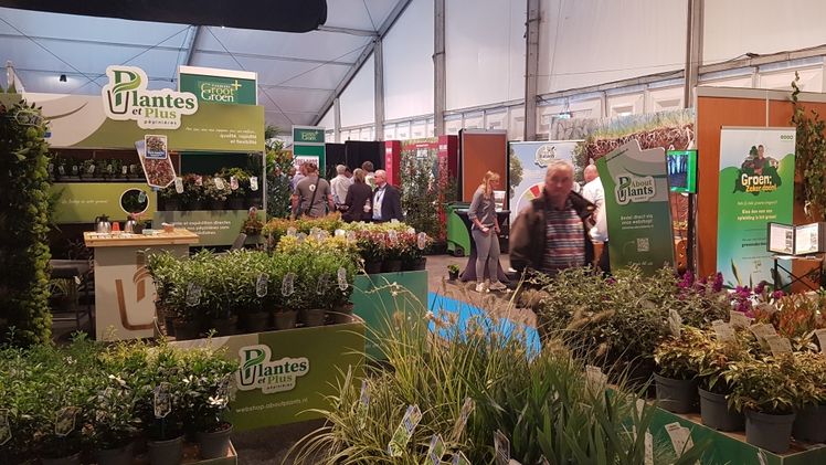 GrootGroenPlus erhält finanzielle Unterstützung. Bild: GABOT.