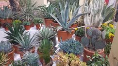Impressionen von der Myplant & Garden 2025. Bild: GABOT.