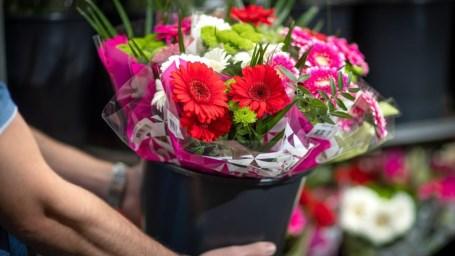 Der Gartenbau kümmert sich mit unverkauften Blumen um sein Herz und seine Seele. Bild: Royal FloraHolland.