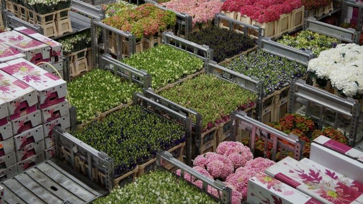 Trotz eines herausfordernden Marktumfelds stellt die Branche erneut ihre Widerstandsfähigkeit unter Beweis. Bild: GABOT.