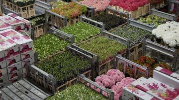 Trotz eines herausfordernden Marktumfelds stellt die Branche erneut ihre Widerstandsfähigkeit unter Beweis. Bild: GABOT.