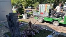 Ein Mitarbeiter eines friedhofsgärtnerischen Betriebs bewässert Gräber auf dem Friedhof. Die anhaltende Trockenheit erhöht derzeit den Arbeitsaufwand bei der Grabpflege deutlich. Bild: Landesverband Gartenbau Nordrhein-Westfalen. 