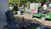 Ein Mitarbeiter eines friedhofsgärtnerischen Betriebs bewässert Gräber auf dem Friedhof. Die anhaltende Trockenheit erhöht derzeit den Arbeitsaufwand bei der Grabpflege deutlich. Bild: Landesverband Gartenbau Nordrhein-Westfalen. 