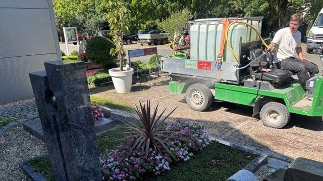 Ein Mitarbeiter eines friedhofsgärtnerischen Betriebs bewässert Gräber auf dem Friedhof. Die anhaltende Trockenheit erhöht derzeit den Arbeitsaufwand bei der Grabpflege deutlich. Bild: Landesverband Gartenbau Nordrhein-Westfalen. 