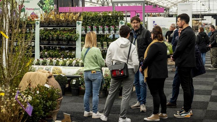 Der Green Future Hub von PLANTARIUM|GROEN-Direkt informiert über Entwicklungen in unserer Branche. Bild: PLANTARIUM|GROEN-Direkt. Der Green Future Hub von PLANTARIUM|GROEN-Direkt informiert über Entwicklungen in unserer Branche. Bild: PLANTARIUM|GROEN-Direkt.