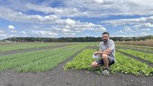 Michael Gugger von Agroscope, der landwirtschaftlichen Forschungsanstalt des Bundes, leitet die Versuchsstation in Ins. Bild: Renate Hodel.