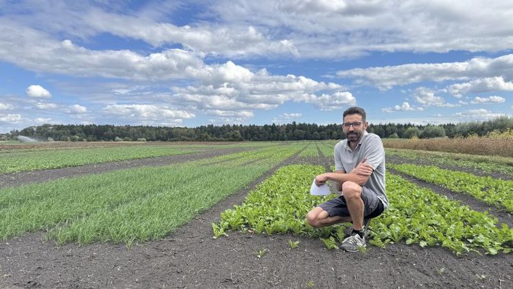 Michael Gugger von Agroscope, der landwirtschaftlichen Forschungsanstalt des Bundes, leitet die Versuchsstation in Ins. Bild: Renate Hodel.