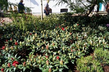 Impressionen von der RHODO 2023. Bild: GABOT.